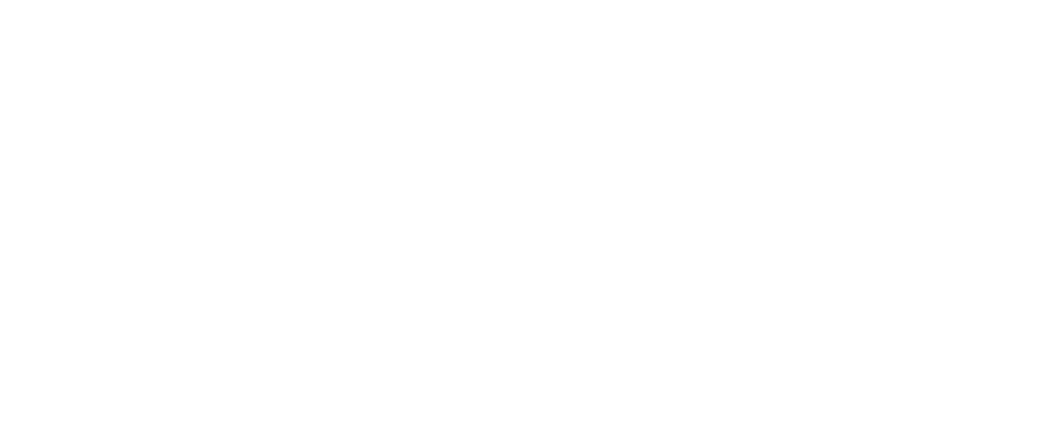 Detroit City FC and Wayne State University logos